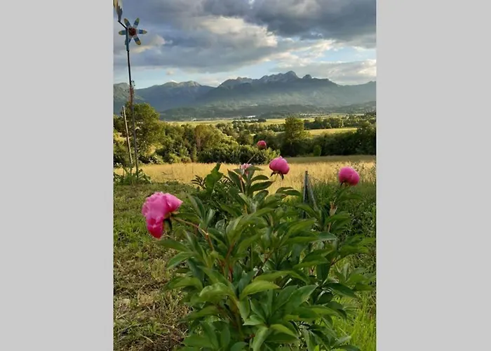 Casa Hess Apartment *